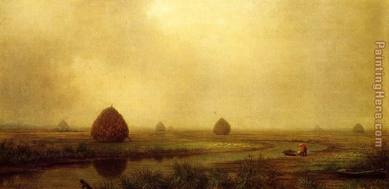 Jersey Marshes